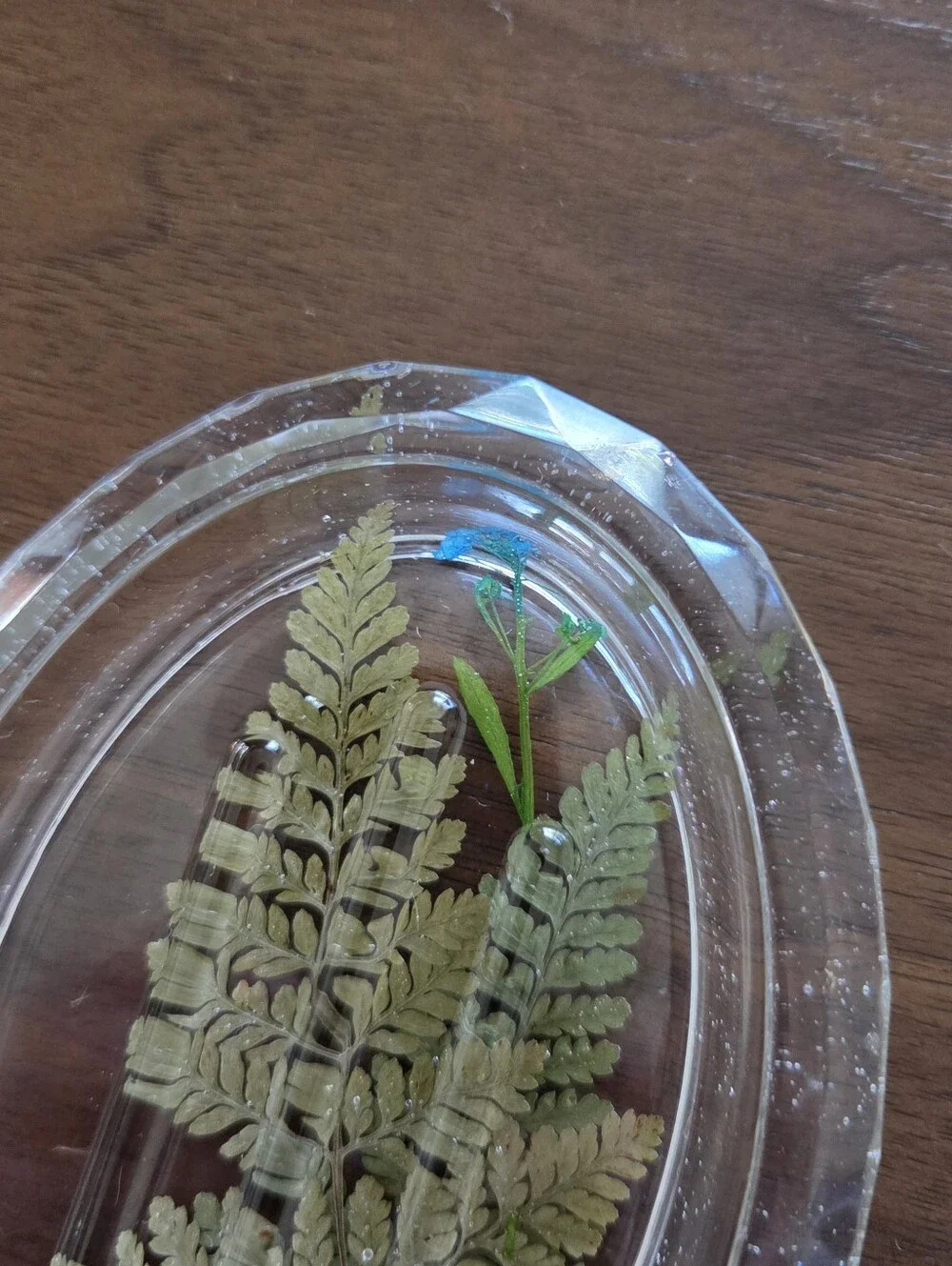 Oval Nature Themed  Soap Dish - Clear  with Green Leaves/Blue Flower